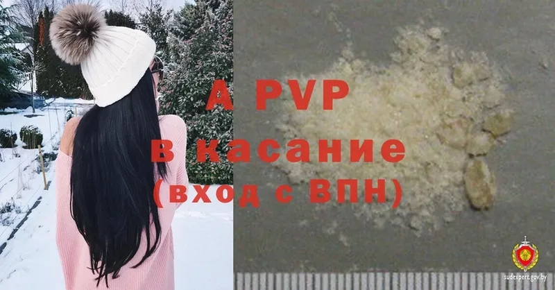 A PVP СК КРИС  Дигора 